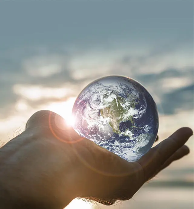 Paradise Group Vision, Mission and Values